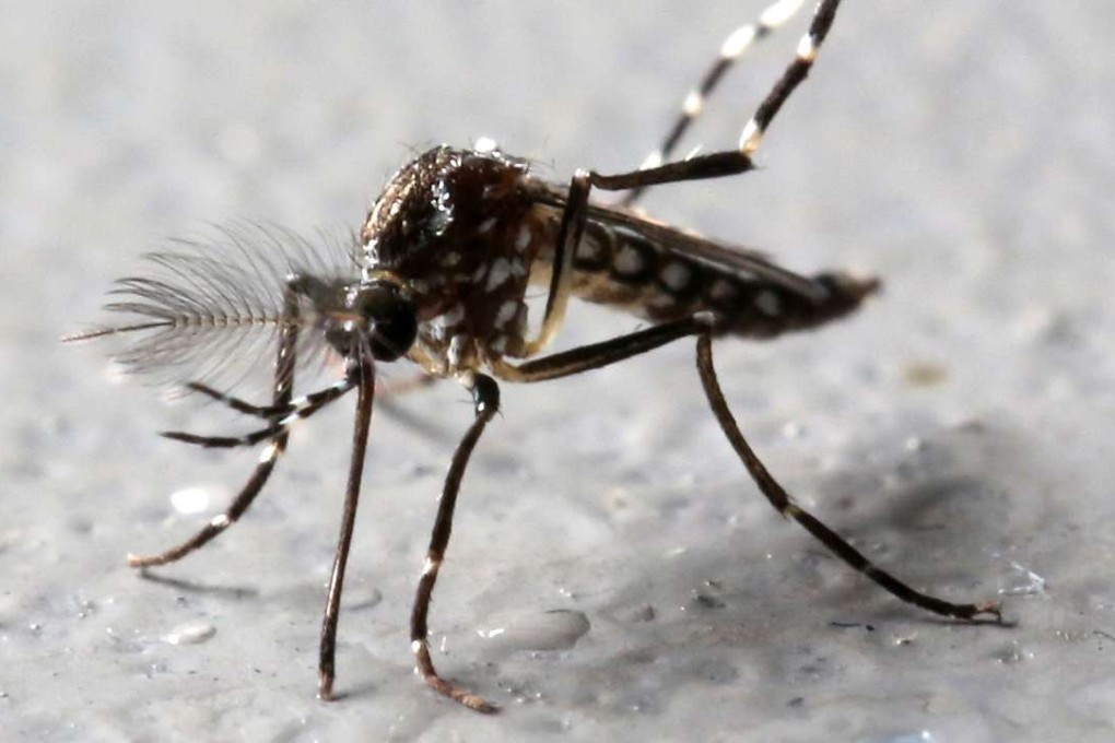 Myanmar has detected its first Zika infection. Photo: Reuters