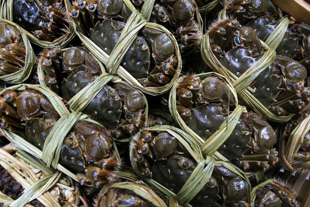A batch of hairy crabs sourced from the mainland. Photo: SCMP Pictures