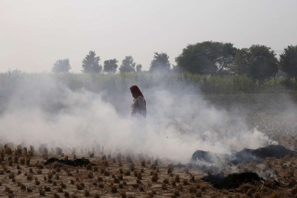 A farmer walks through smoke caused by farming waste set on fire at Palwal, in the state of Haryana, south of New Delhi, India. Photo: AP