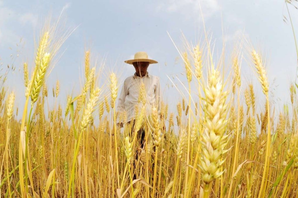 Rapid gains in agricultural commodity prices traded in China are believed to be driven, in part, by speculation. Photo: Xinhua