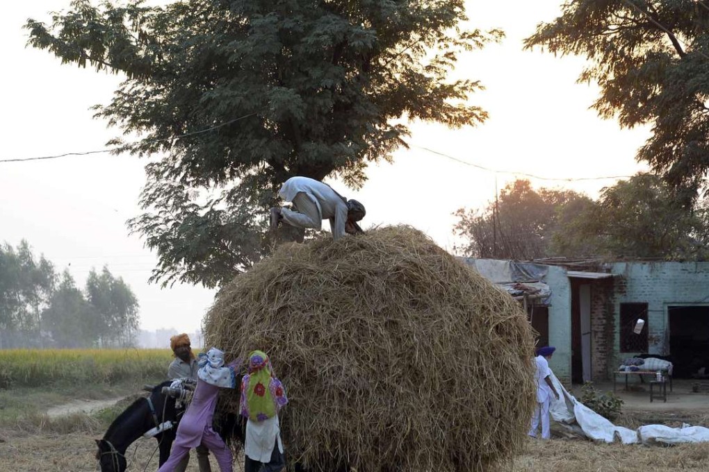 Indian villagers hold onto an overloaded horse cart while a worker presses the paddy stubble used as fuel and mixed into cattle feed at a village near Jalandhar. Global warming is seen having a strong link to the creditworthiness of a country. Photo: AFP