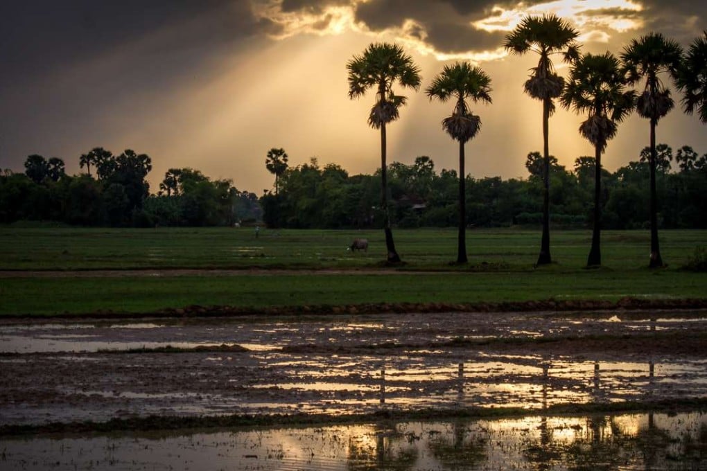 The view from a homestay in Banteay Srei, Cambodia. Photo: Anna Bella Betts.