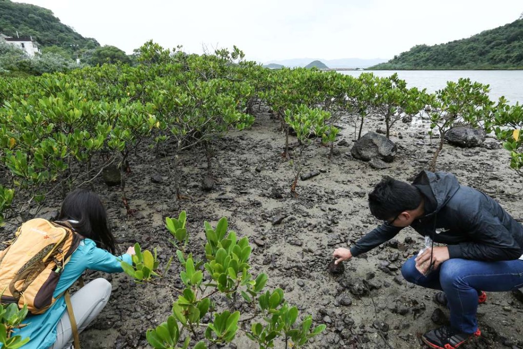 WWF-Hong Kong launched the Marine Ecological Hotspot Map this week. Photo: Jonathan Wong
