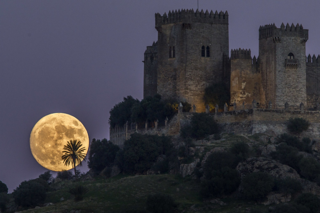 The 2016 supermoon. Photo: Associated Press