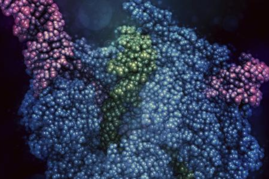 CRISPR-CAS9 gene editing complex from Streptococcus pyogenes. Photo: Molekull/Science Photo Library