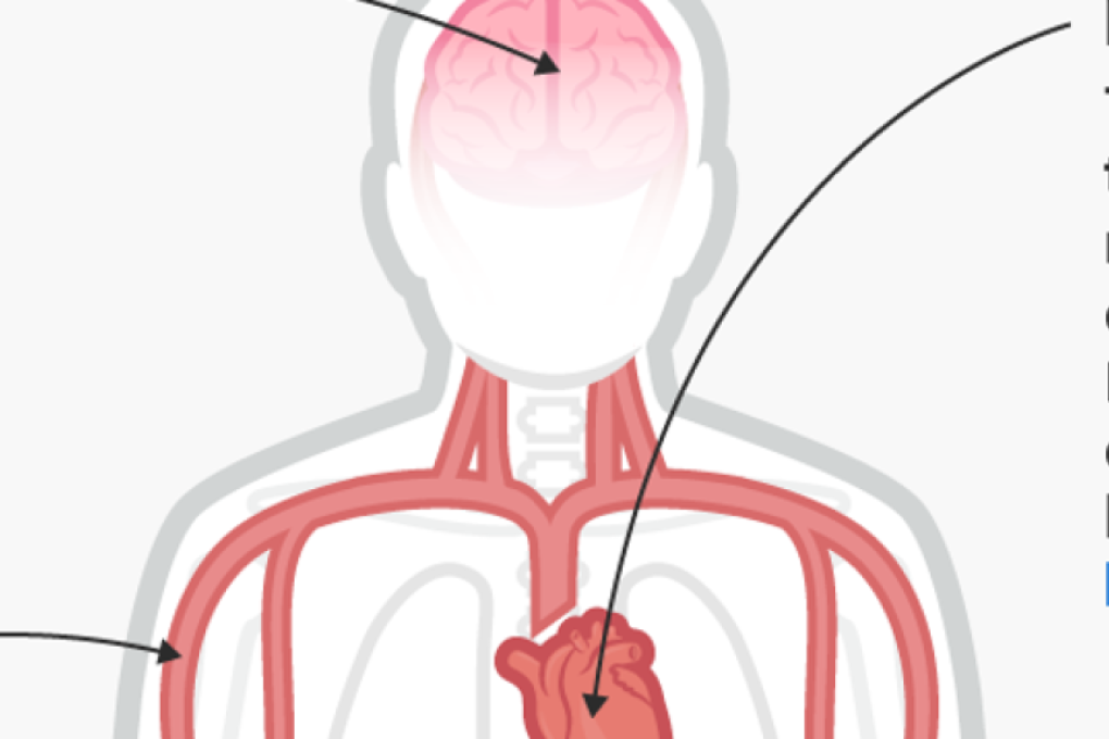 Photo: Samantha Lee/Business Insider