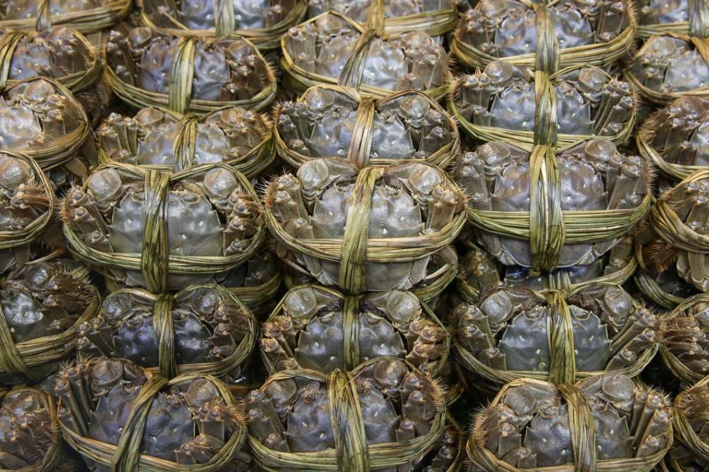 Authorities found that two out of five hairy crab samples from three importers and two retailerswere found to have contained excessive levels of dioxin and dioxin-like polychlorinated biphenyls. Photo: Sam Tsang