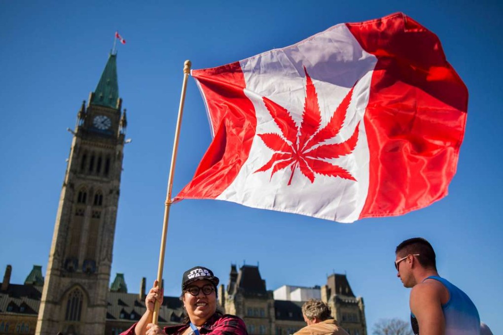 A woman waves a flag with a marijuana leaf in place of the familiar Canadian maple leaf on National Marijuana Day on Parliament Hill in Ottawa on April 20. Photo: AFP