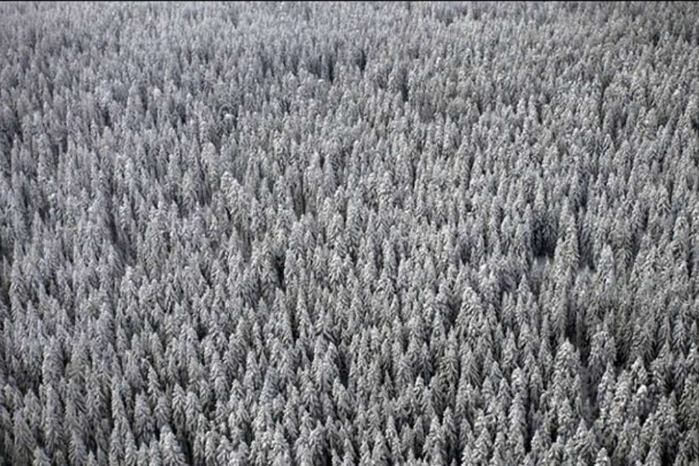 Game2: Winter will be set deep in the Siberian wilderness. Photo: Handout