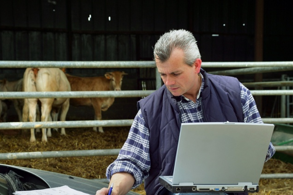 All Canadians—including those living in rural and remote areas—will soon have access to an unlimited data option for Internet services. Photo: Shutterstock