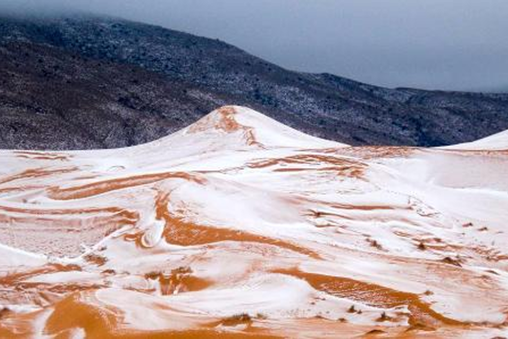 Snow in the Sahara desert near the town of Ain Sefra, Algeria Dec 20. Photo: Rex Features/AP Images