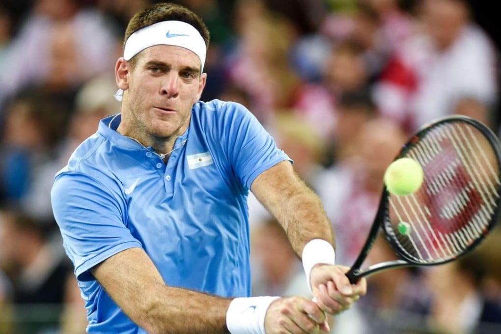 Argentina's Juan Martin del Potro returns the ball to Croatia's Marin Cilic during the Davis Cup World Group final. Photo: AFP