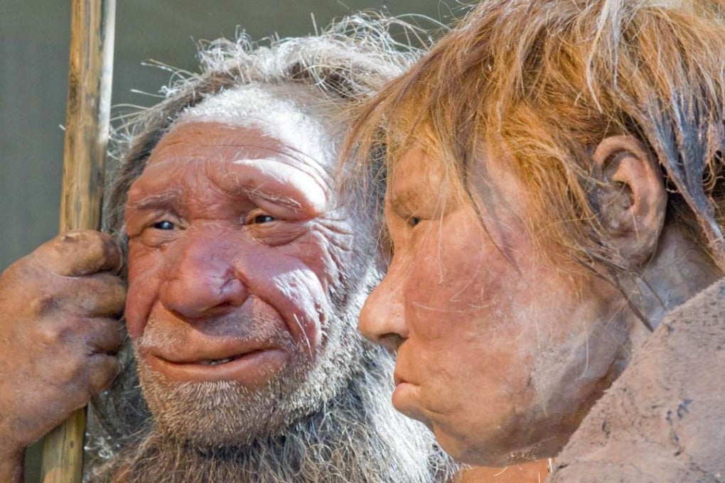 Reconstructions of a Neanderthal man and woman at the Neanderthal museum in Mettmann, Germany. Photo: AP