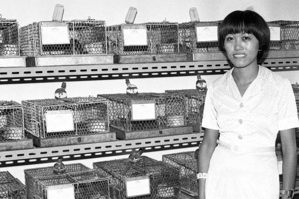Rodent control officer Nancy Chan Nam-chun, at the Urban Services Department’s Pest Control Advisory Unit, in June 1977. Pictures: SCMP