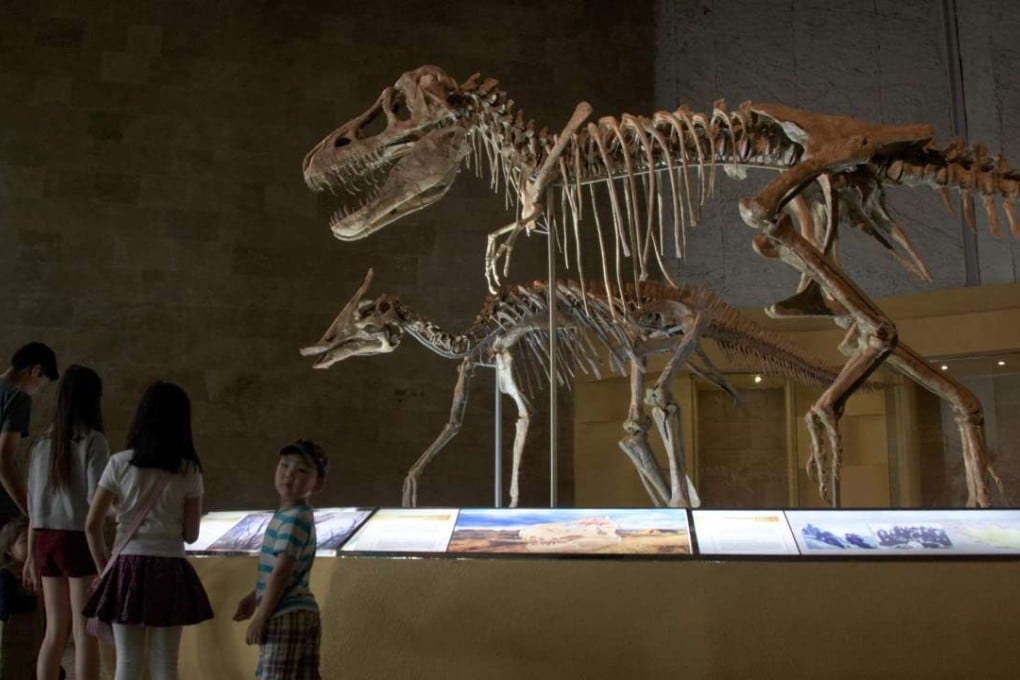 A museum in Ulan Bator displaying dinosaur fossils returned from overseas in Ulan Bator. Photo: AFP