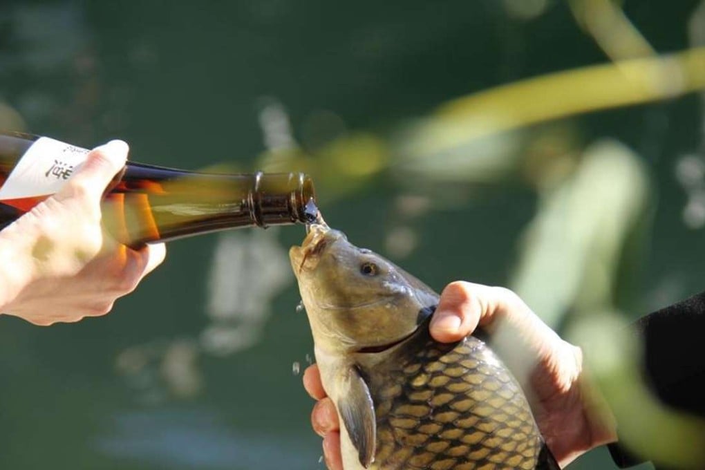 The rural festival sees revellers pouring rice wine into a fish’s mouth in a “Carp Releasing Exorcism”. Photo: japaneseclass.jp