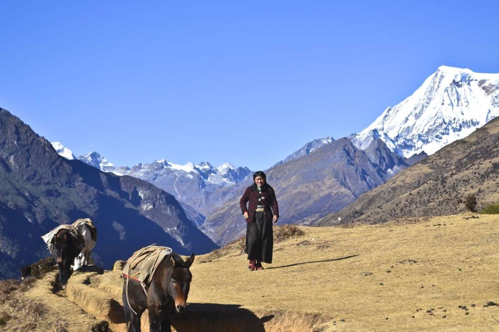 A Layap woman leads donkeys in Bhutan's remote Laya Valley. Photos: Chris Dwyer
