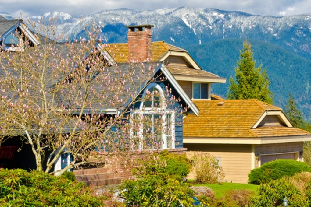 Houses in North Vancouver. Home sales across British Columbia hit record levels in 2016. Photo: Shutterstock