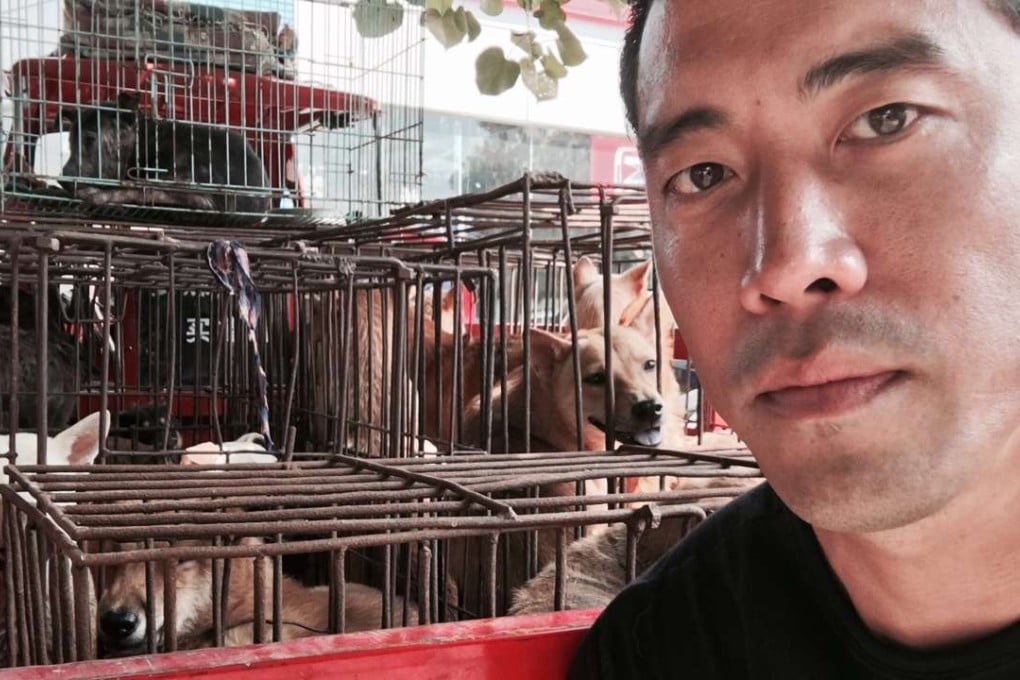 Marc Ching with some of the dogs he rescued from slaughterhouses in Yulin in June 2016. Pictures: George Knowles