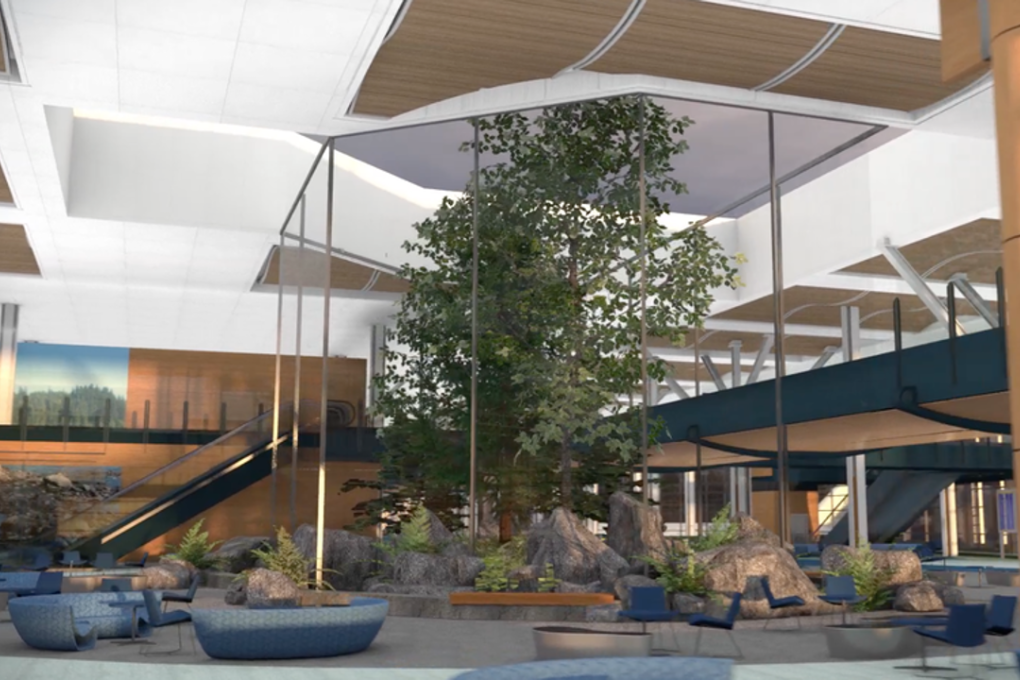 This rendering shows some real trees that would be growing in a glassed-in part of the future international terminal at Vancouver International Airport. Photo: YVR