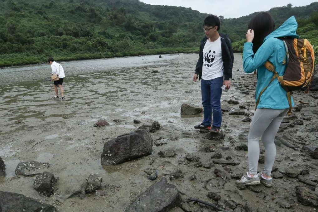 With more than 5,600 species officially recorded, Hong Kong’s biodiversity is surprisingly rich for its small space. Photo: Jonathan Wong