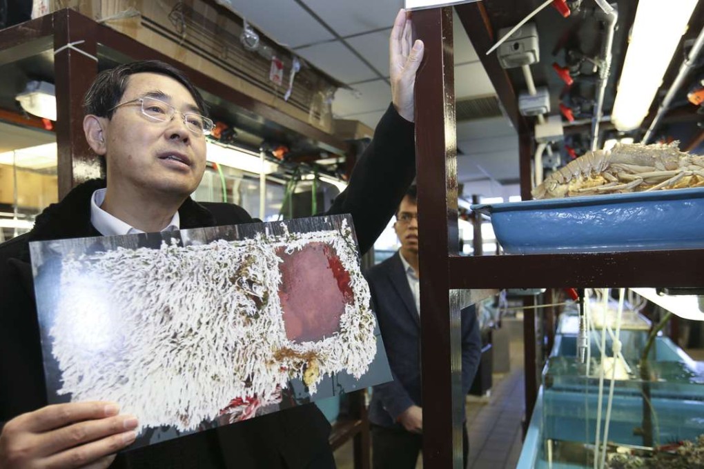 Qian Peiyuan, chair professor of Life Science at HKUST, after he won the State Science Award for his discovery. Photo: Xiaomei Chen