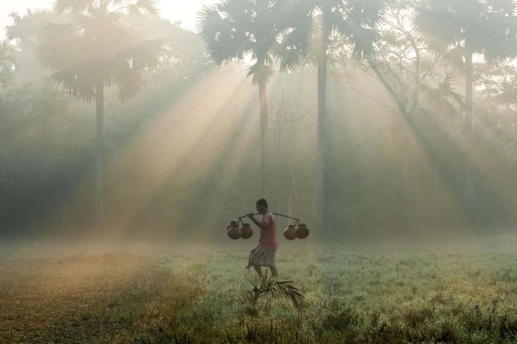 Bangladesh has begun planting one million palm trees nationwide to help prevent hundreds of people being killed by lightning strikes every year. Photo: Xinhua