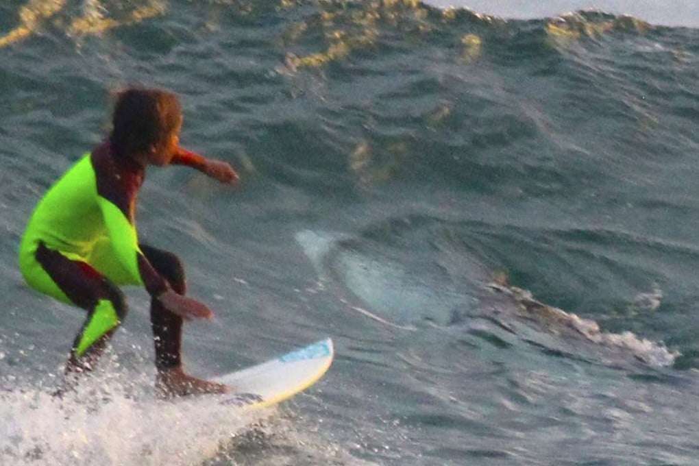 10-year-old Eden Hasson surfs near what is believed to be a great white shark at Samurai Beach, Port Stephens, Australia. Photo: AP
