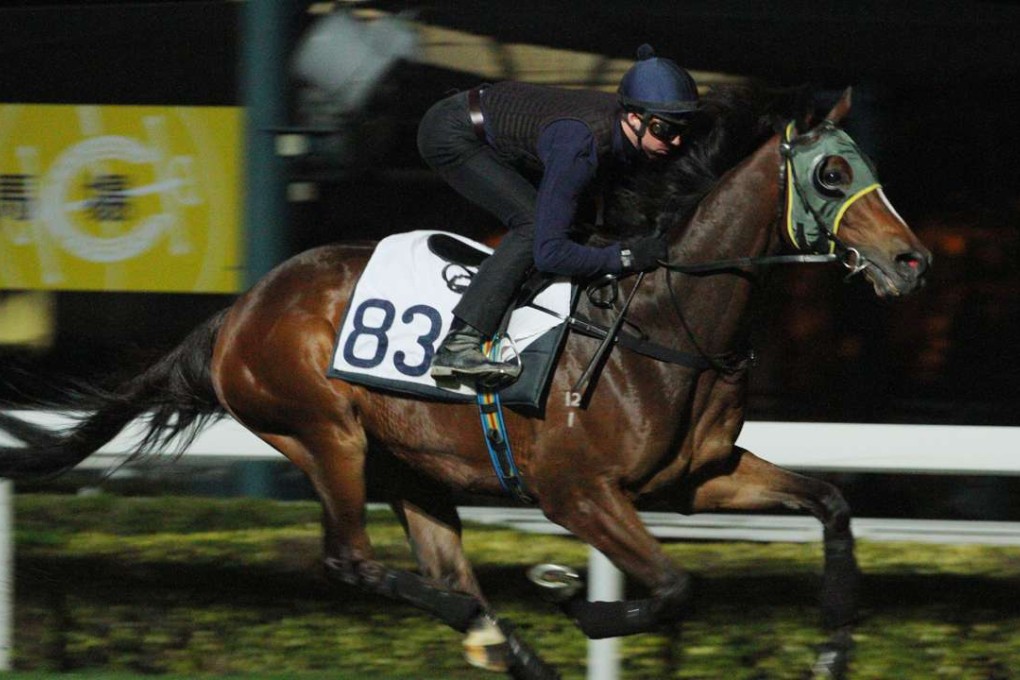 Sam Clipperton gallops Werther on Tuesday on the turf at Sha Tin. He will ride the reigning horse of the year in Monday’s Stewards’ Cup. Photos: Kenneth Chan.
