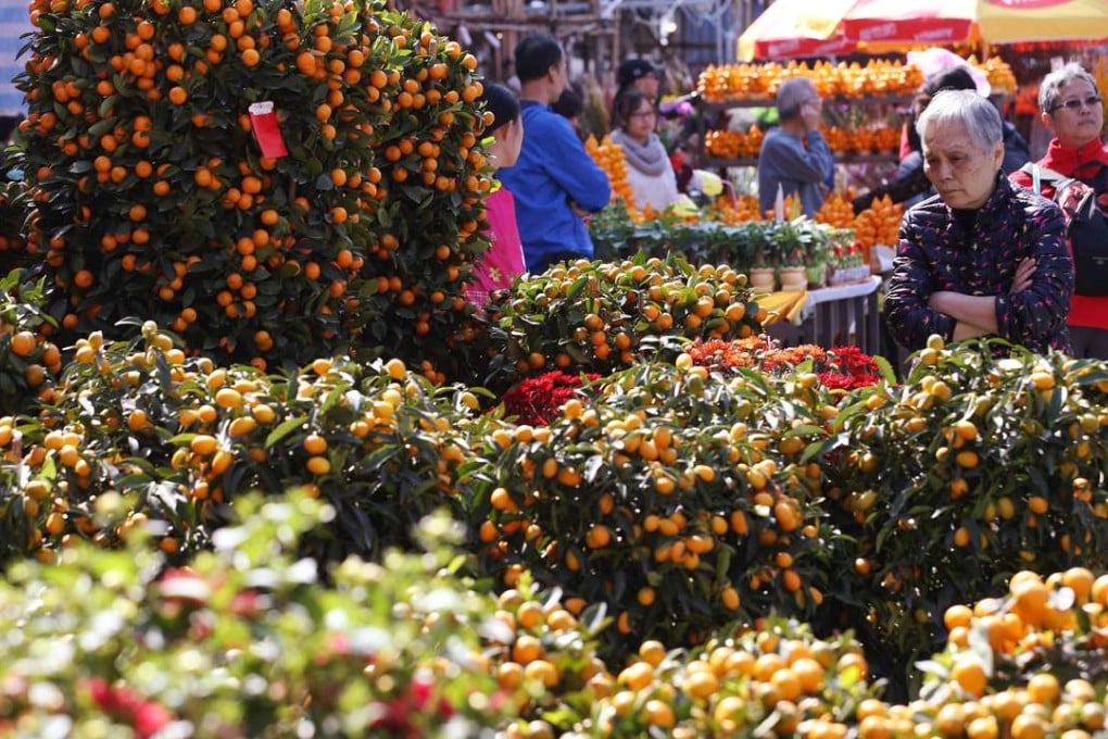 Visitors choose from row upon row of kumquat trees at the New Year Fair in Victoria Park, on January 22. Photo: Felix Wong