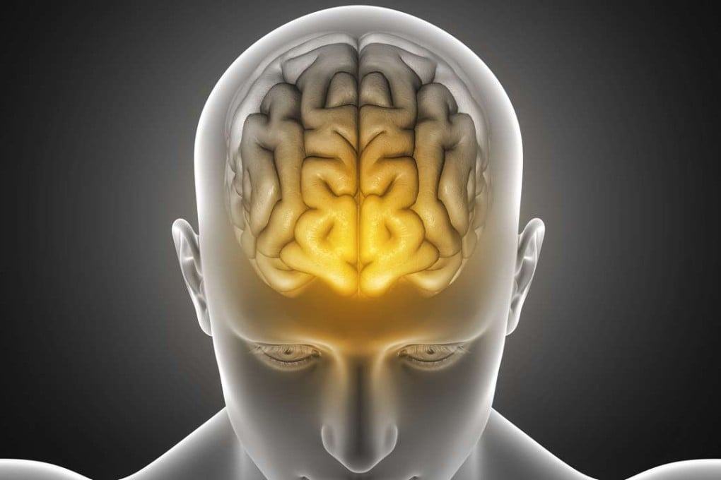 East Asian brains are generally bigger than European or African ones. Photo: Shutterstock