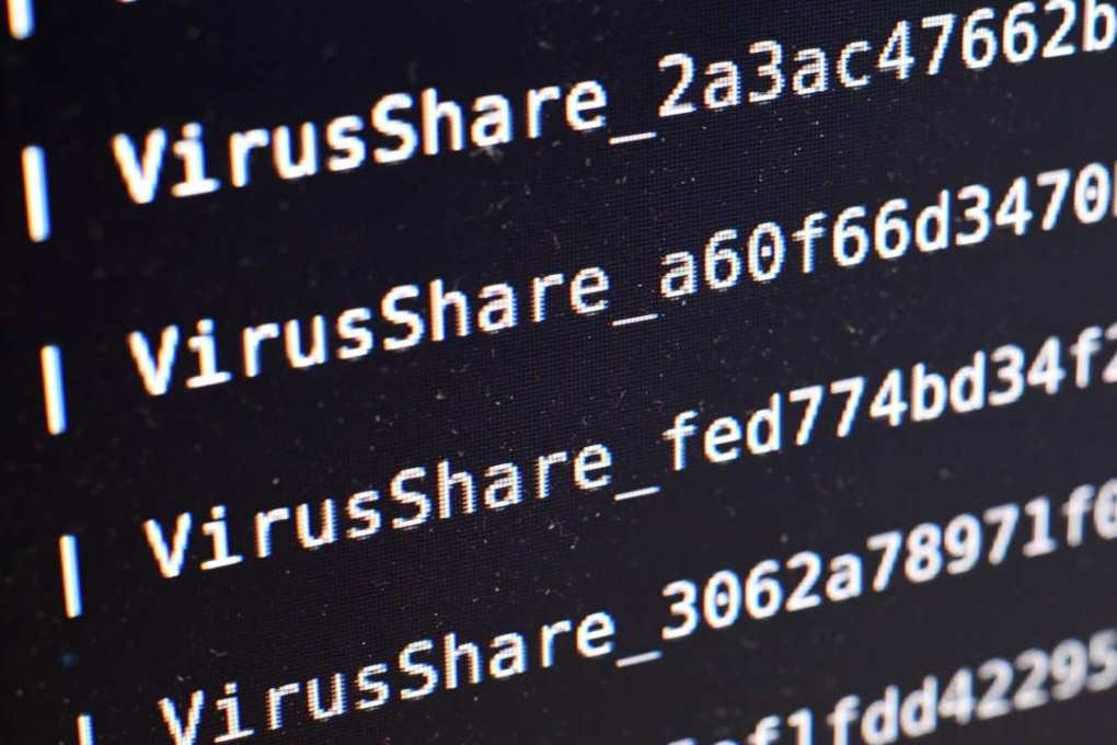 Analysts fear that while extremist groups may not have the necessary skills themselves, they could hire someone else to wreak havoc. Photo: AFP