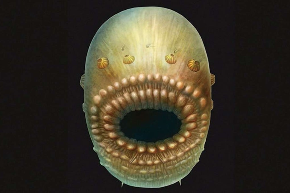 An artist's reconstruction of Saccorhytus coronarius, based on fossil finds. Photo: Reuters