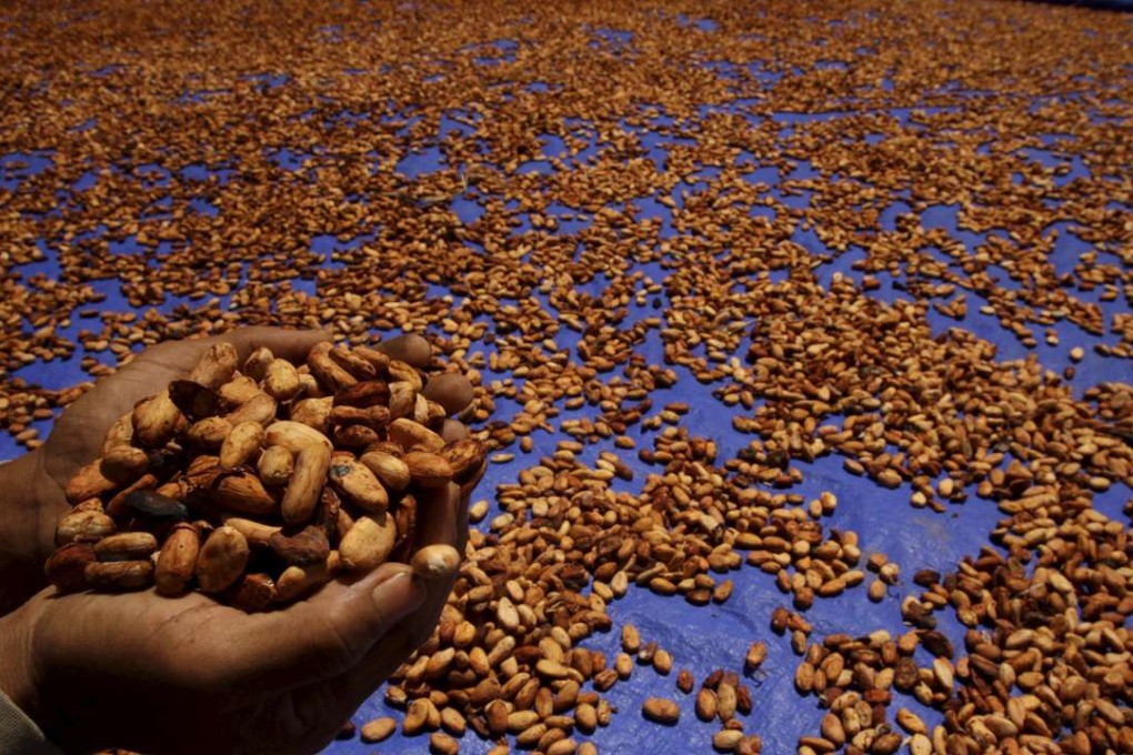 A farmer holds up dried cocoa beans at a plantation in Gantarang Keke Village, South Sulawesi, Indonesia. Photo: REUTERS/Yusuf Ahmad