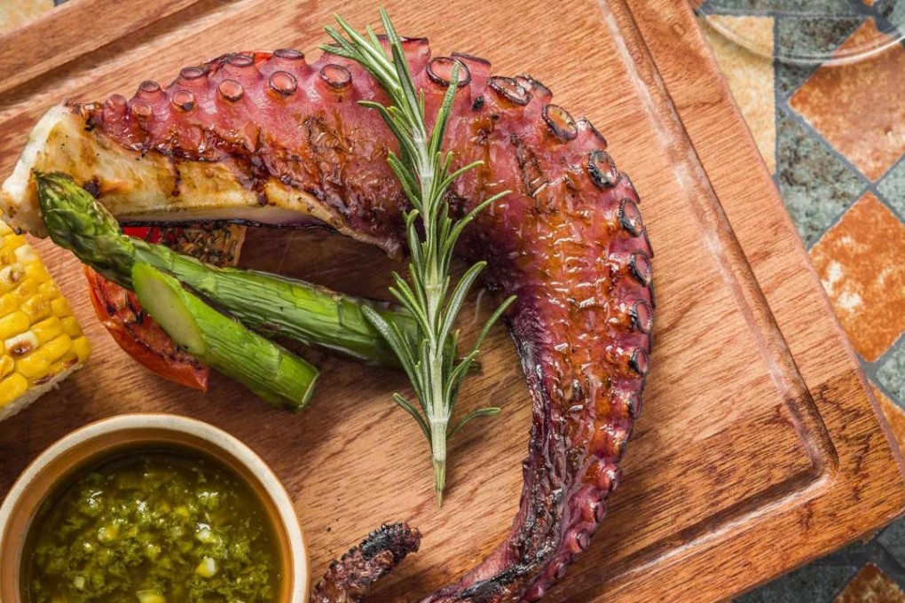 Alzina’s charcoal-grilled octopus leg with chimichurri sauce.