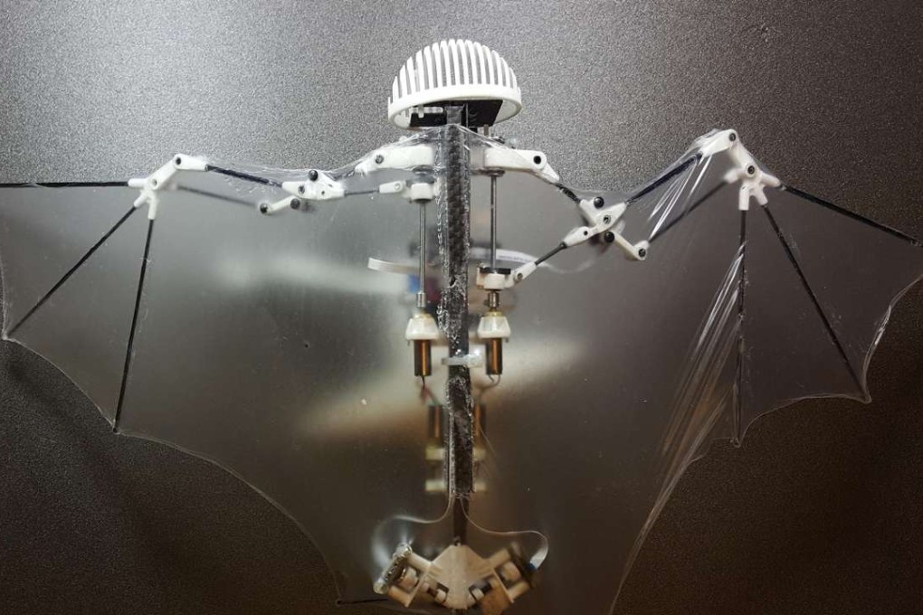 This photo provided by Alireza Ramezani of the University of Illinois shows a Bat Bot, a flying robot that mimics the unique and flexible way bats fly. Photo: AP