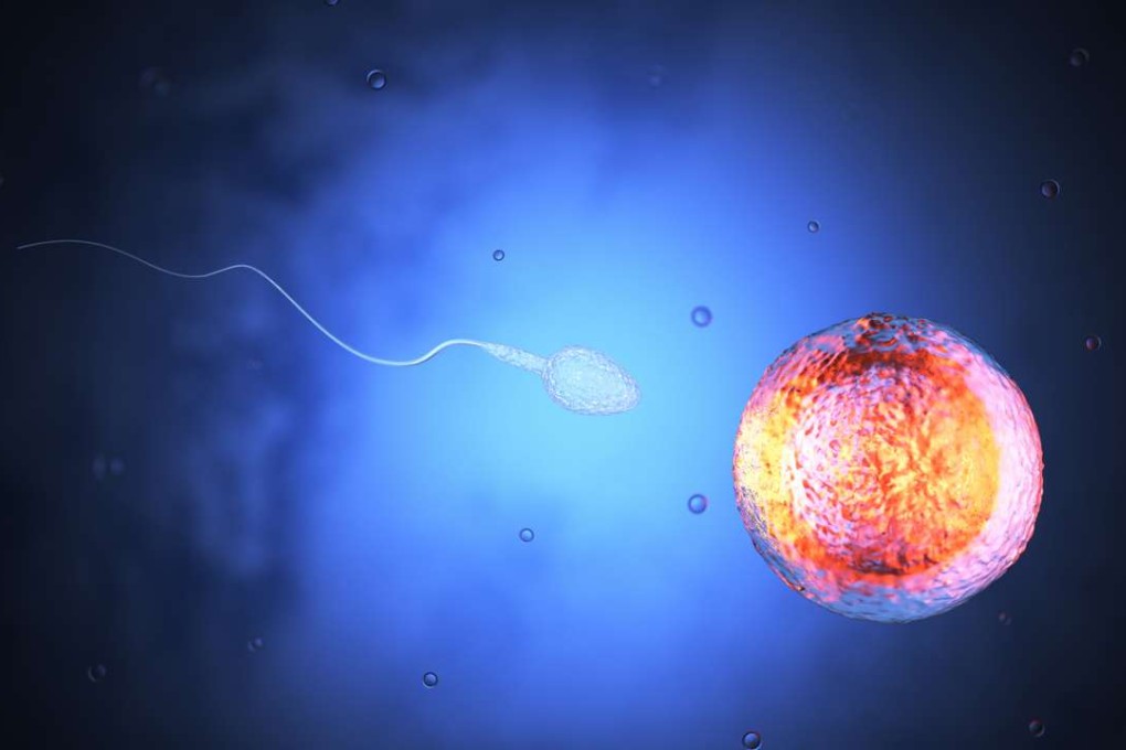 An artist’s impression of a sperm cell and egg cell. Credit: istockphoto