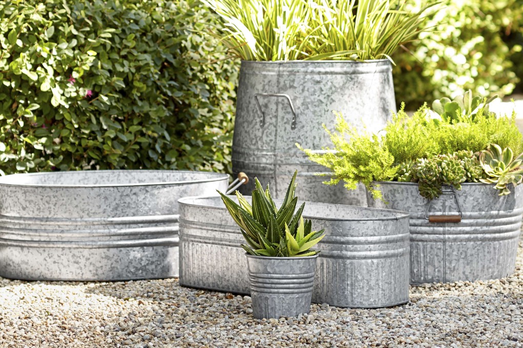 The right container can turn your plant into a focal point of the home