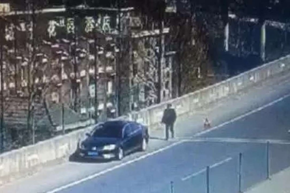 A driver stopped on the side of an elevated highway because he was afraid of heights. Photo: Handout