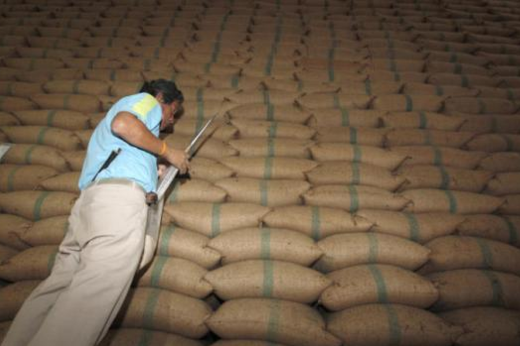 A commerce official checks the quality of rice stocks at a warehouse in Bangkok's Khlong Sam Wa district. The Foreign Trade Department has called for the auction of 2.87 million tonnes of rice stocks fit for human consumption. Photo: Pattanapong Hirunard