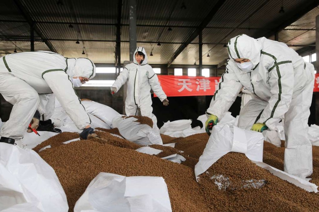Medical workers from Tianjin Inspection and Quarantine Bureau destroy the chicken feed collected from the three places in the city where H7N9 bird flu cases have been found in Tianjin on Feb. 20, 2017. Photo: China Foto Press