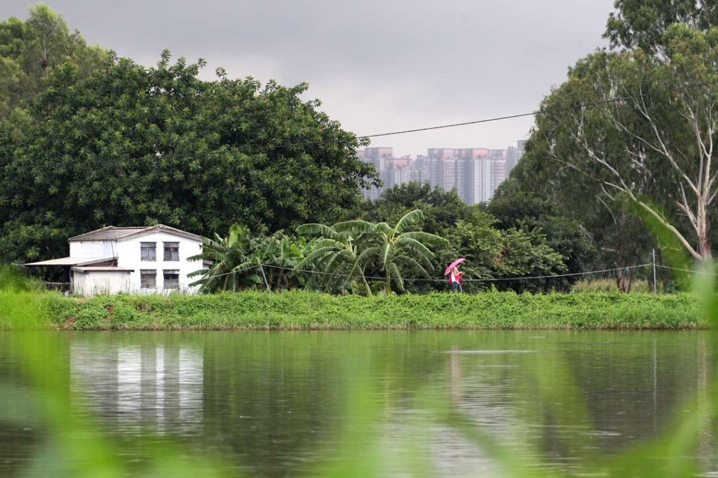 The Nam Sang Wai area in Yuen Long as it looks now. Photo: Felix Wong