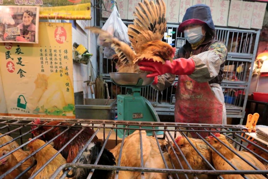 A vendor sells live chickens from local farms at the Kowloon City Market in Hong Kong in this file photo from 2015. Photo: Felix Wong