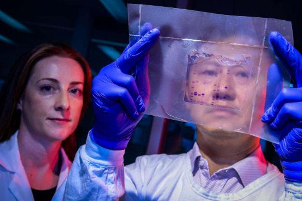 Researchers Niamh Mangan and Johnson Mak were part of a team that discovered the HIV-beating powers of a naturally occurring protein. Photo: Justin McManus