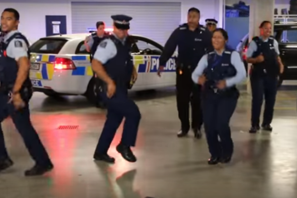 Photo: Screenshot/New Zealand Police