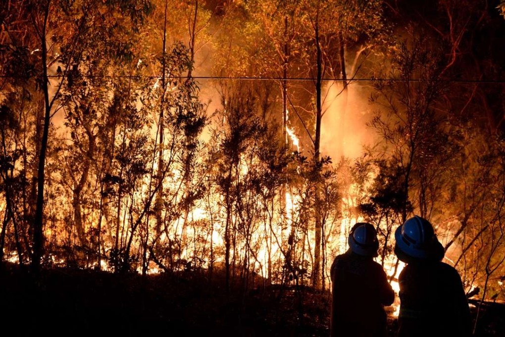 New South Wales' fire fighters battle a bushfire burning in Springwood in the Blue Mountains, west of Sydney in 2013. Photo: EPA