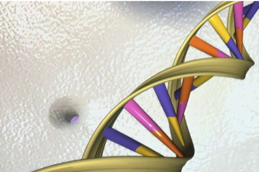 A DNA double helix is seen in an artist's illustration from the National Human Genome Research Institute. Photo: Reuters