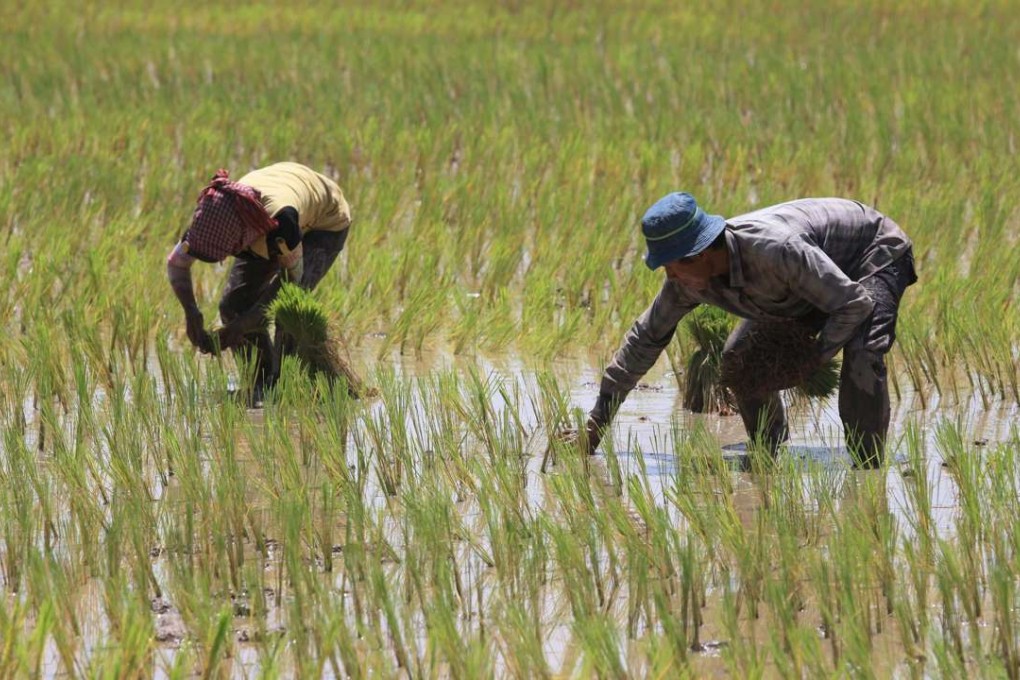 China capital concerns are affecting an R&F Properties project in Cambodia. Photo: Reuters