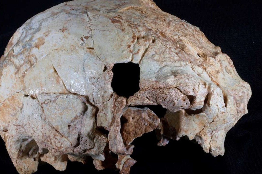 The so-called Aroeira 3 skull may be an important clue to the origin of the Neanderthals. Photo: Javier Trueba