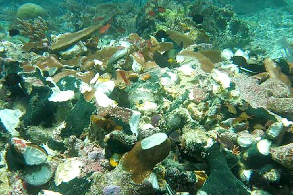 A British-owned cruise ship has smashed into and damaged pristine coral reefs in Raja Ampat, a remote corner of Indonesia. Photo: AFP